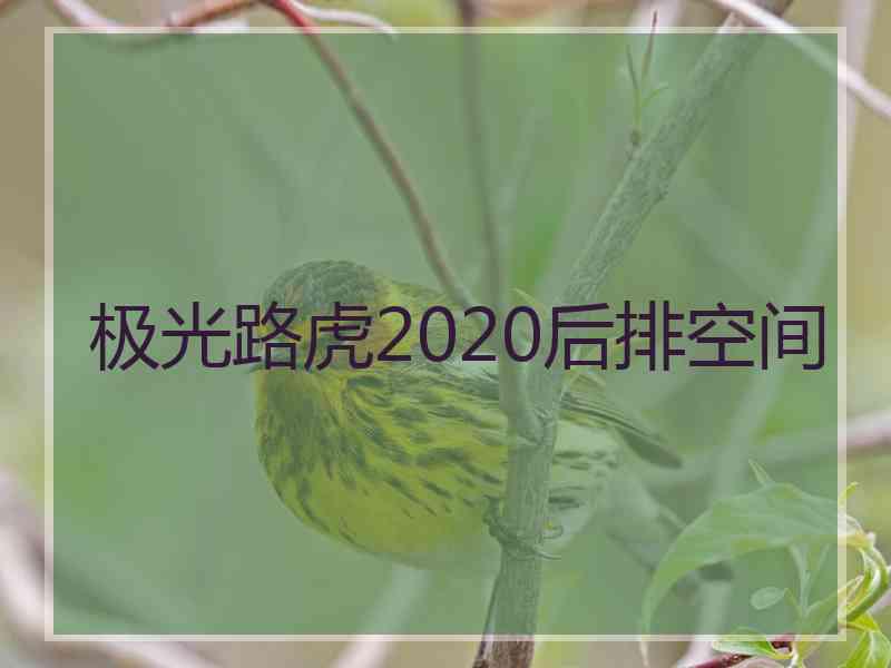 极光路虎2020后排空间