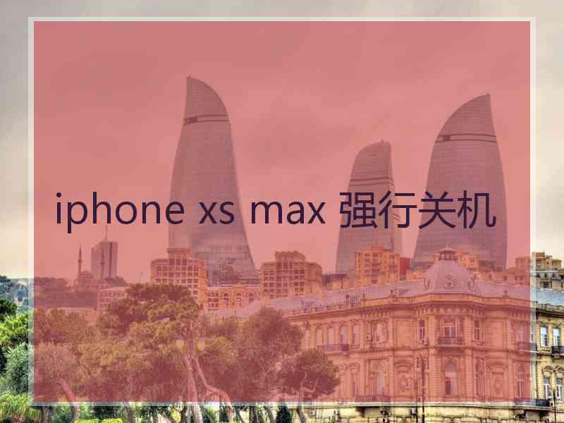 iphone xs max 强行关机