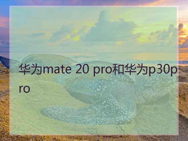 华为mate 20 pro和华为p30pro