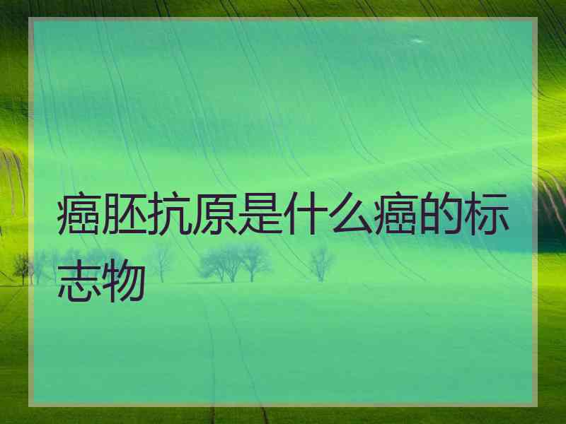 癌胚抗原是什么癌的标志物