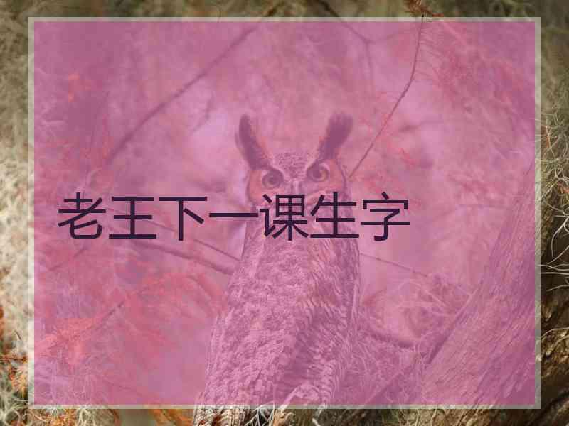 老王下一课生字