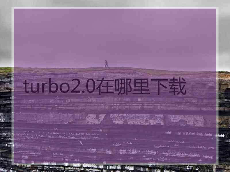 turbo2.0在哪里下载