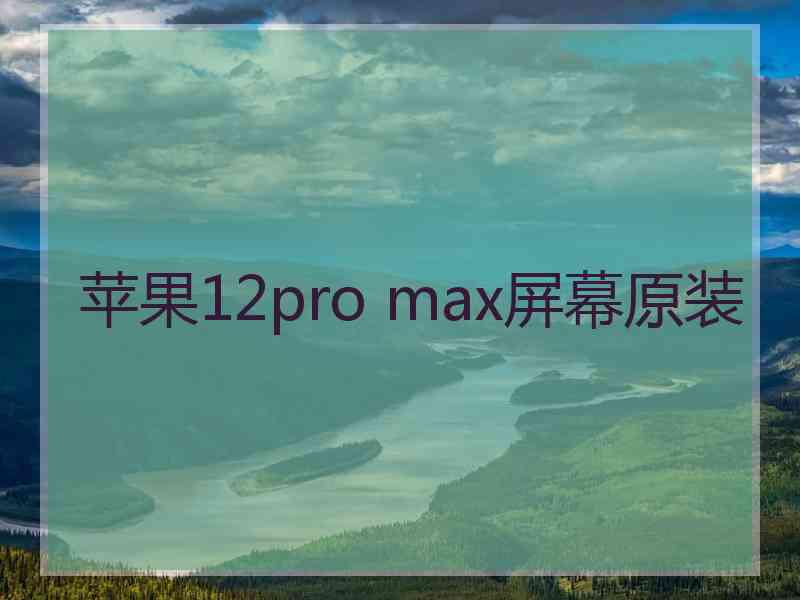 苹果12pro max屏幕原装