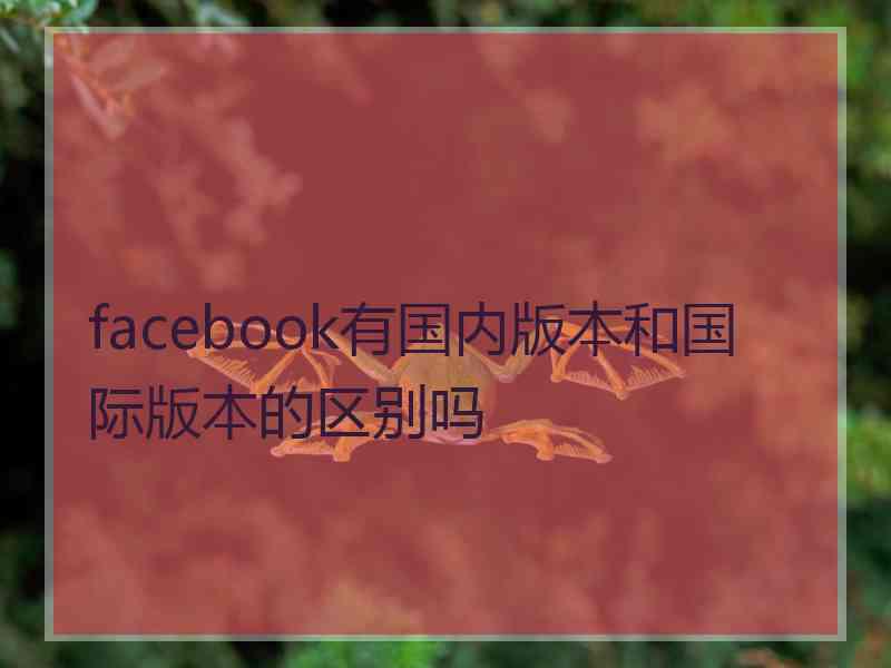 facebook有国内版本和国际版本的区别吗