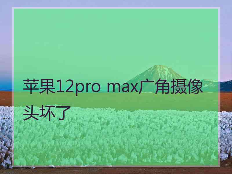 苹果12pro max广角摄像头坏了