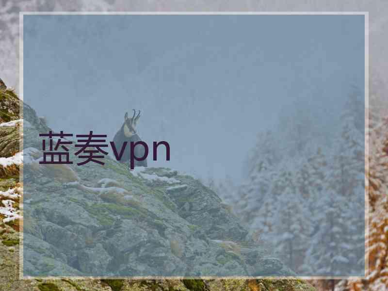 蓝奏vpn