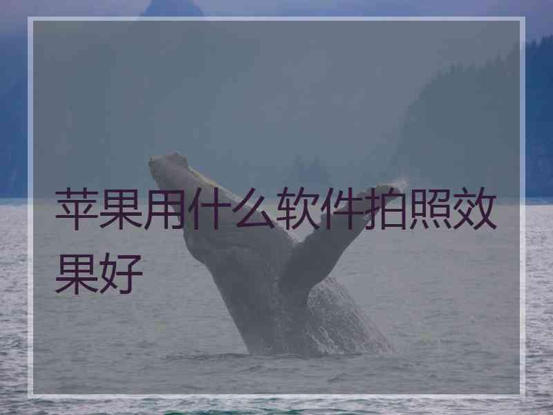 苹果用什么软件拍照效果好