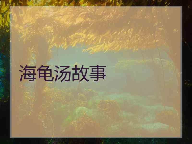 海龟汤故事