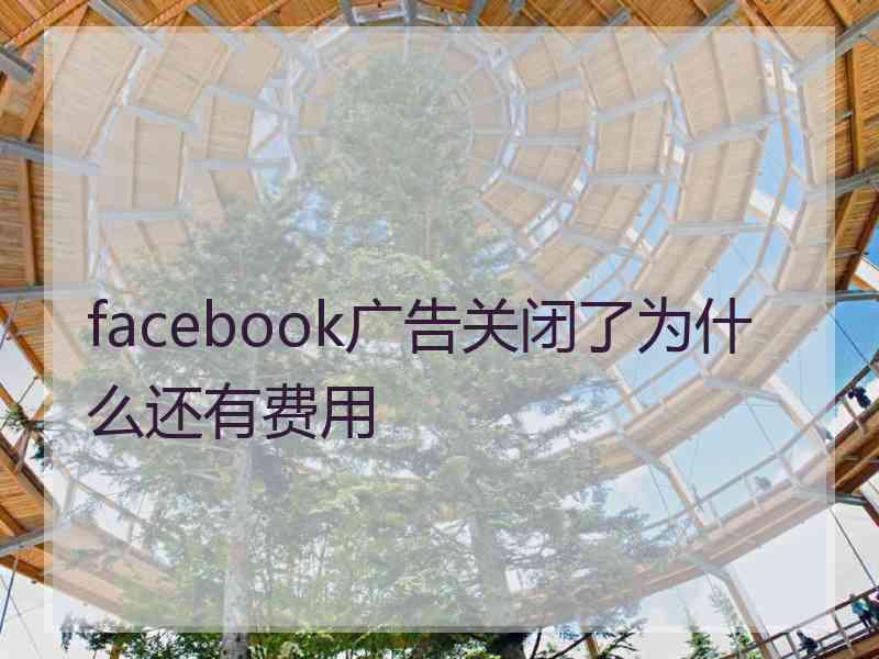 facebook广告关闭了为什么还有费用