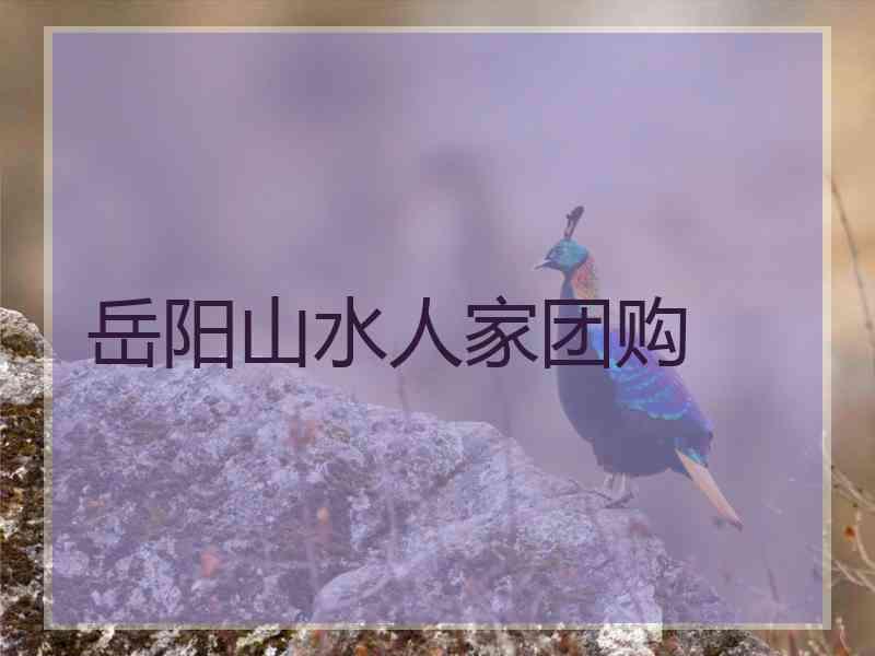 岳阳山水人家团购