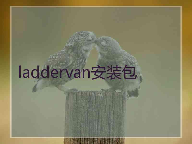 laddervan安装包