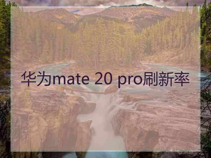 华为mate 20 pro刷新率