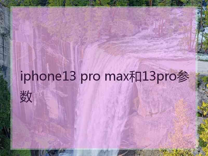 iphone13 pro max和13pro参数