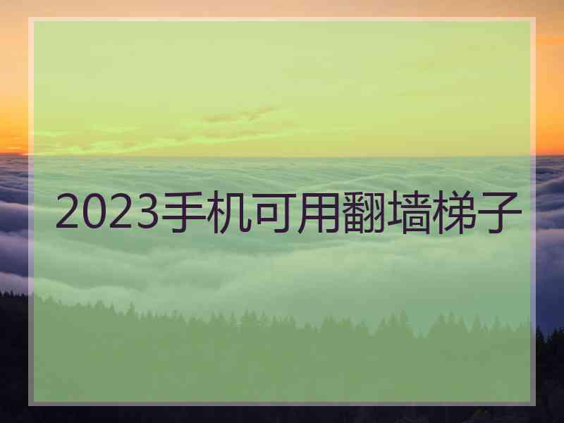 2023手机可用翻墙梯子