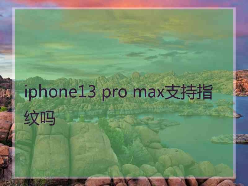 iphone13 pro max支持指纹吗