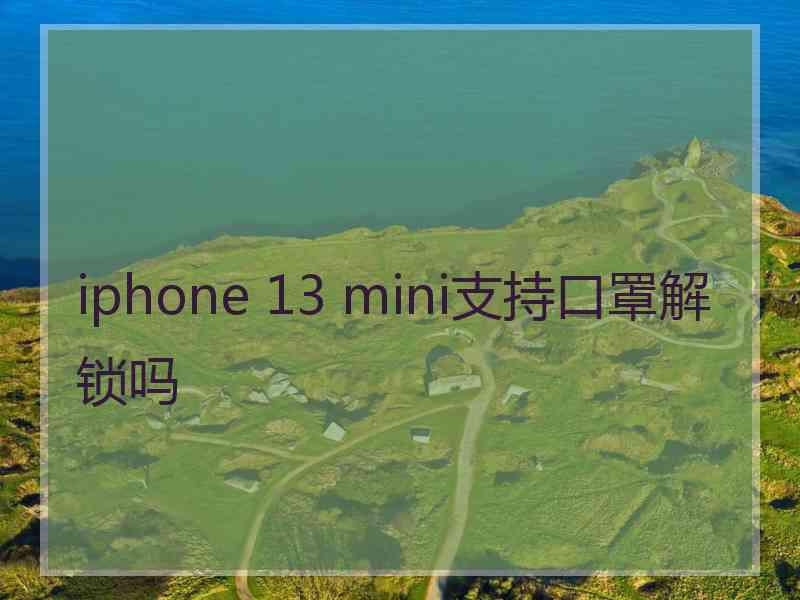 iphone 13 mini支持口罩解锁吗