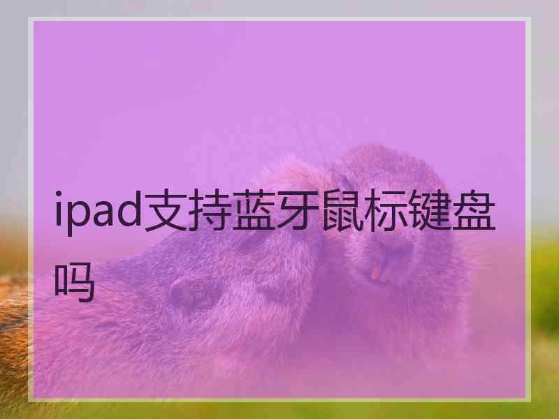 ipad支持蓝牙鼠标键盘吗