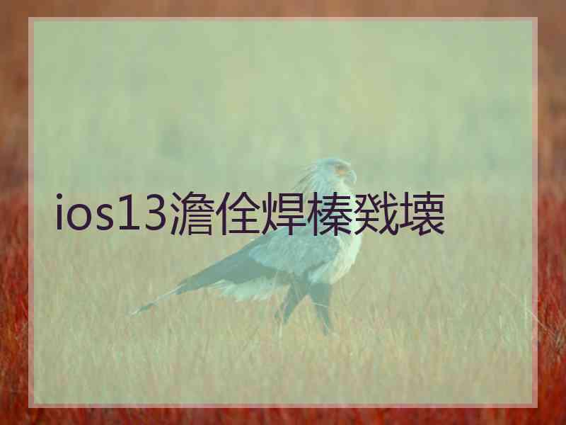 ios13澹佺焊榛戣壊