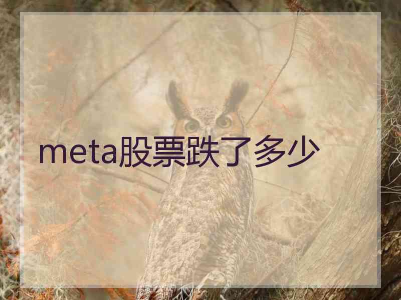 meta股票跌了多少