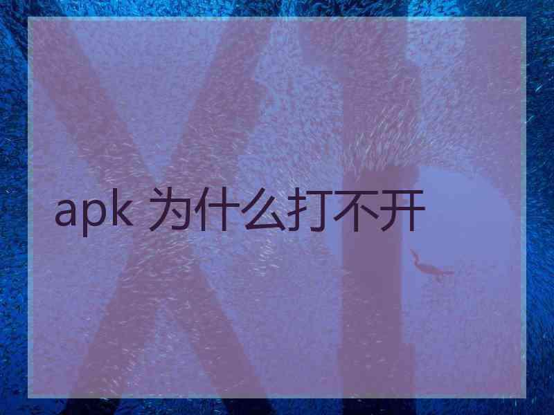 apk 为什么打不开