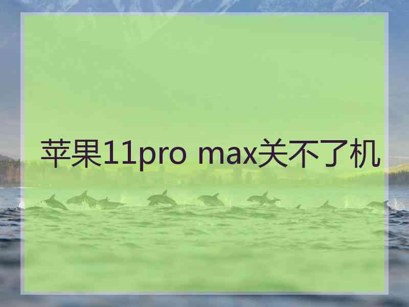 苹果11pro max关不了机