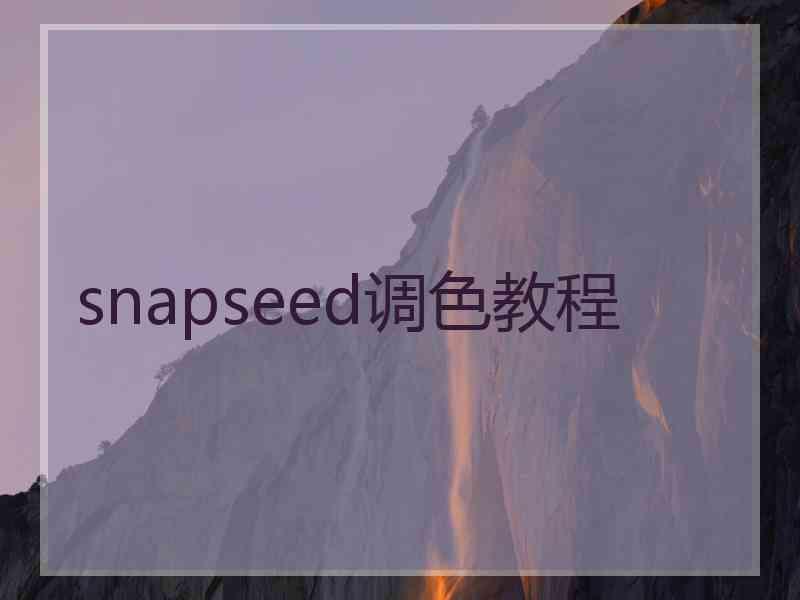 snapseed调色教程