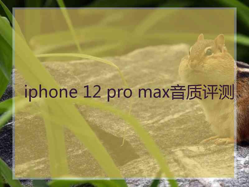 iphone 12 pro max音质评测