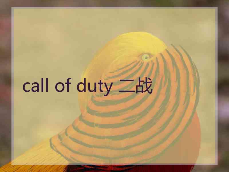 call of duty 二战