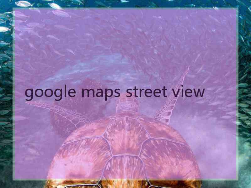 google maps street view