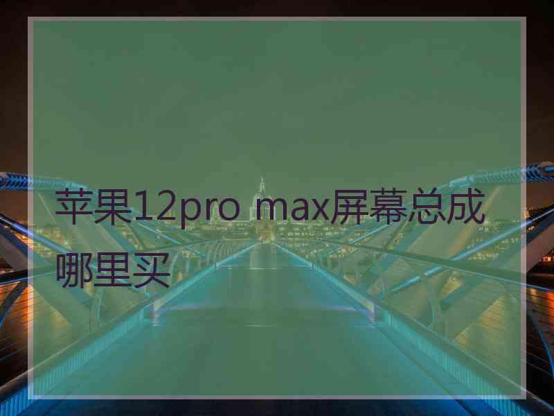 苹果12pro max屏幕总成哪里买