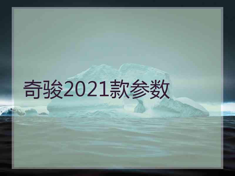 奇骏2021款参数