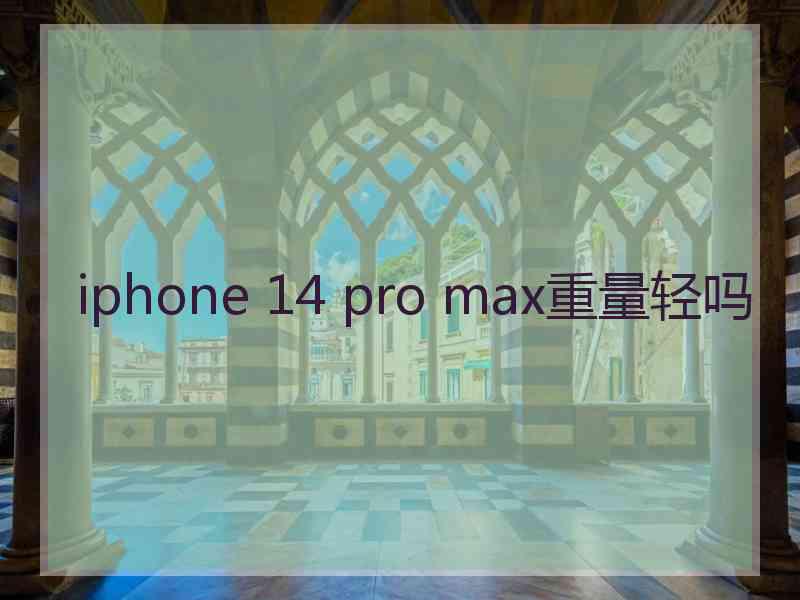 iphone 14 pro max重量轻吗