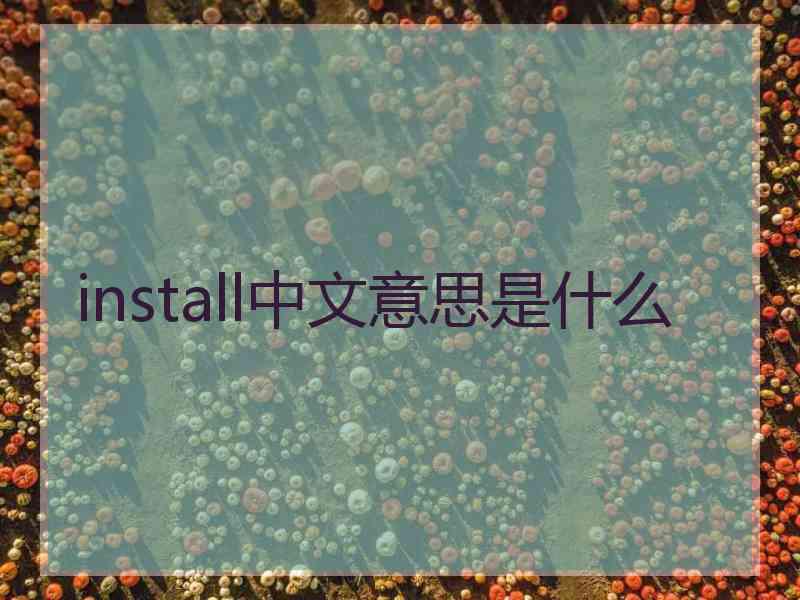 install中文意思是什么