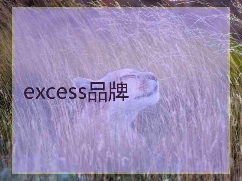 excess品牌