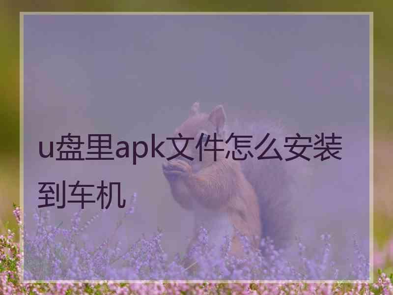 u盘里apk文件怎么安装到车机