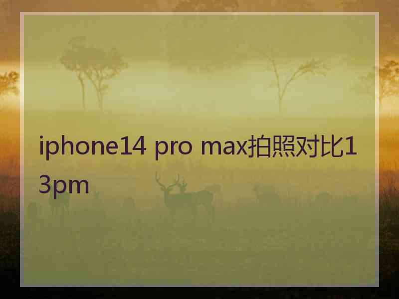 iphone14 pro max拍照对比13pm