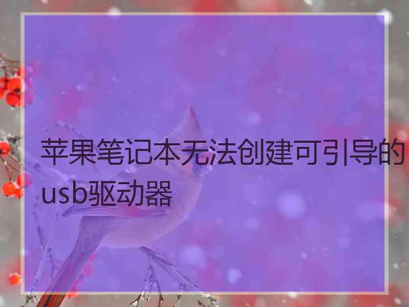 苹果笔记本无法创建可引导的usb驱动器