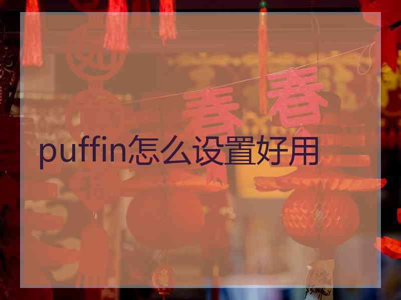 puffin怎么设置好用