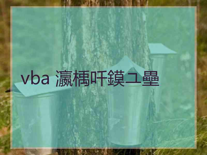 vba 瀛楀吀鏌ユ壘