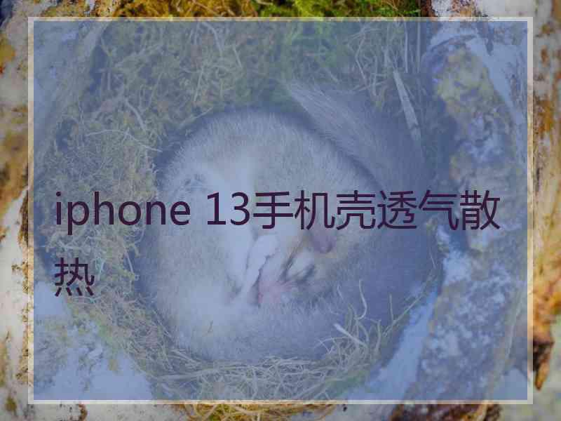 iphone 13手机壳透气散热