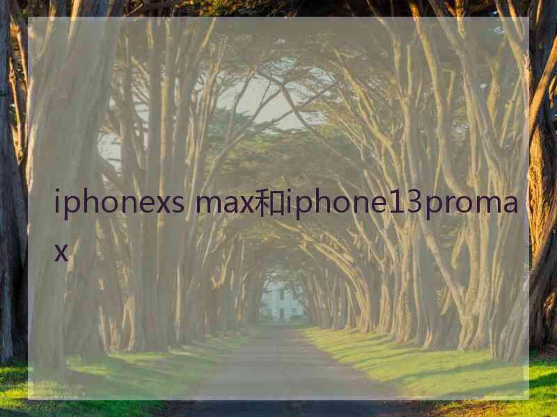 iphonexs max和iphone13promax