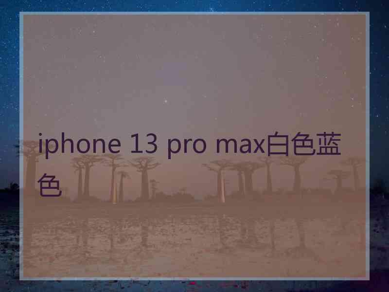 iphone 13 pro max白色蓝色