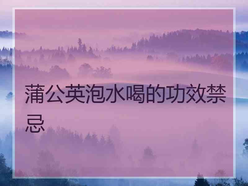 蒲公英泡水喝的功效禁忌