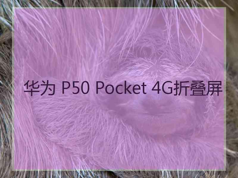 华为 P50 Pocket 4G折叠屏