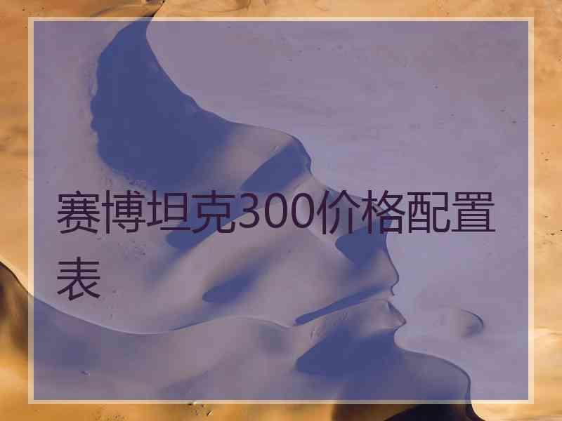 赛博坦克300价格配置表