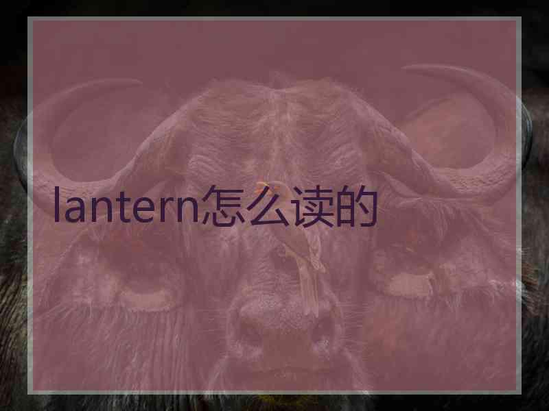 lantern怎么读的