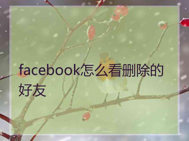 facebook怎么看删除的好友