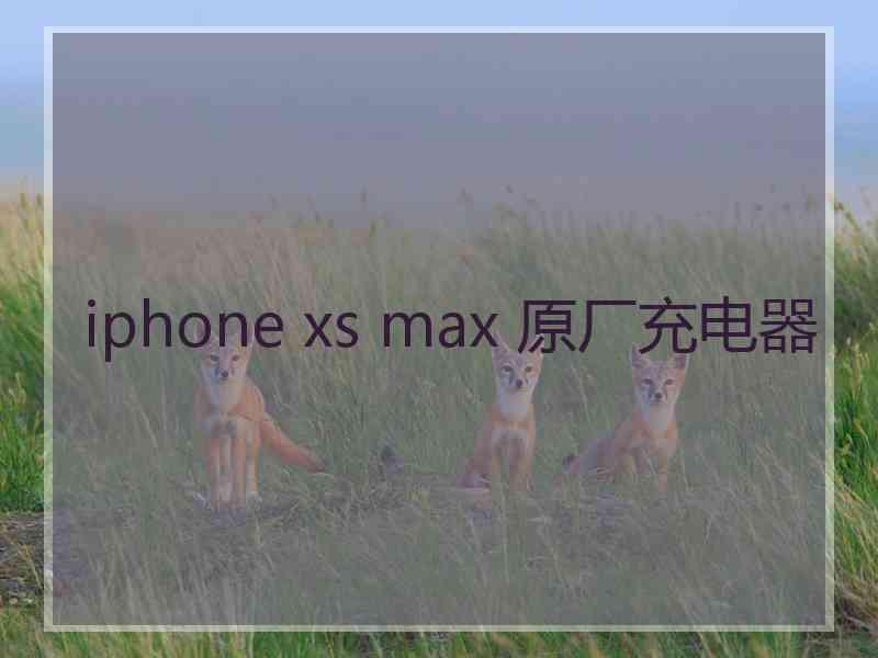 iphone xs max 原厂充电器