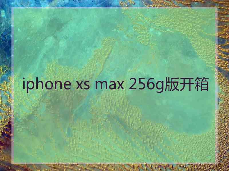 iphone xs max 256g版开箱