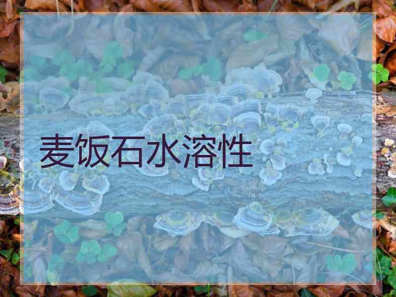 麦饭石水溶性